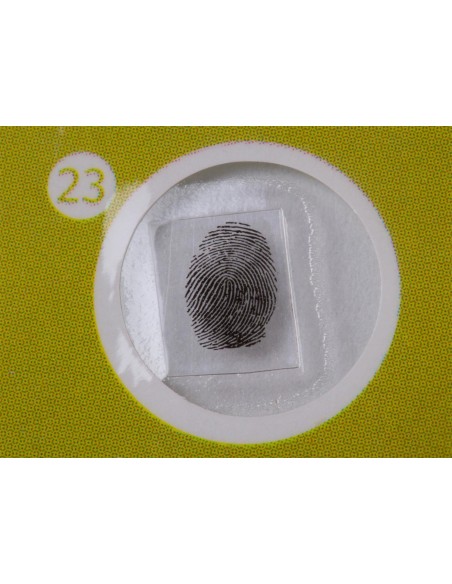 Levenhuk LabZZ P12 Set di vetrini preparati Piante