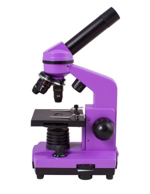 Microscopio Levenhuk Rainbow 2L, ametista 2