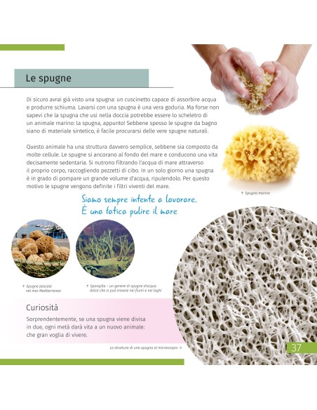 Mondo invisibile. Libro educativo