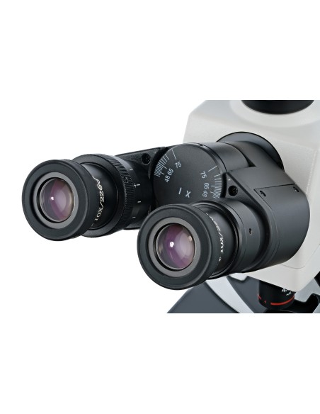 Microscopio trinoculare Levenhuk MED 45T