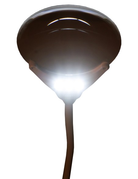 Lente d’ingrandimento Levenhuk Zeno Lamp ZL13